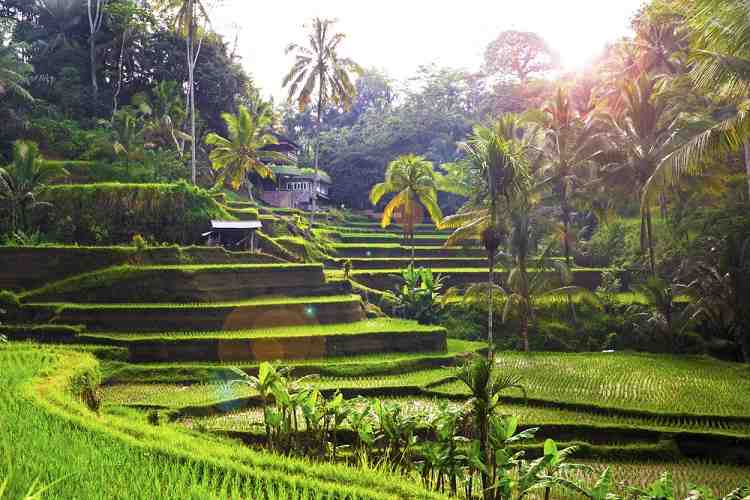 Comment obtenir visa travail Bali ?