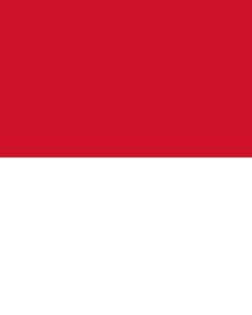 Est-ce que l'Indonésie est un pays développé ?