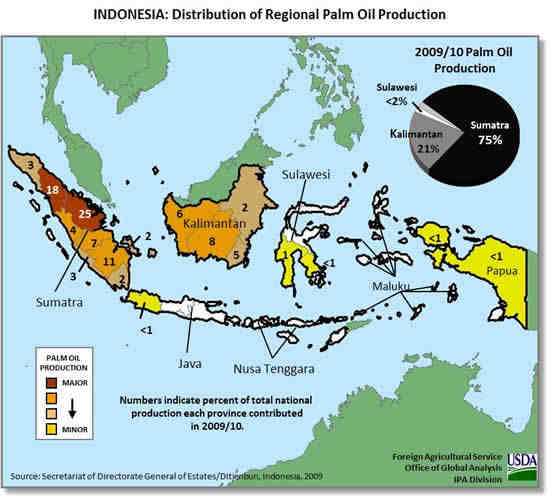 Quel pays est le premier producteur d'huile de palme ?